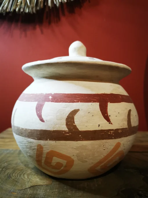 Pot en terre cuite 20 cm
